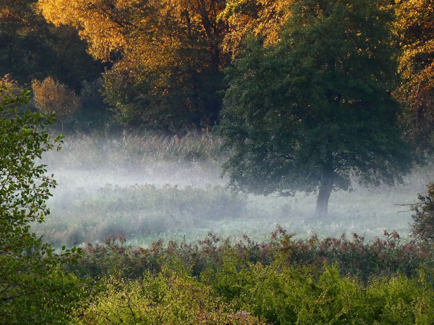 2000 Hajnlai köd birtok rezervátum les szeptember 2025.09.21.