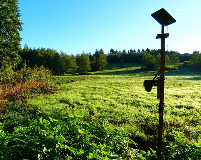 2000 vadkamera Fantombika Újvadrét 2025.09.21.