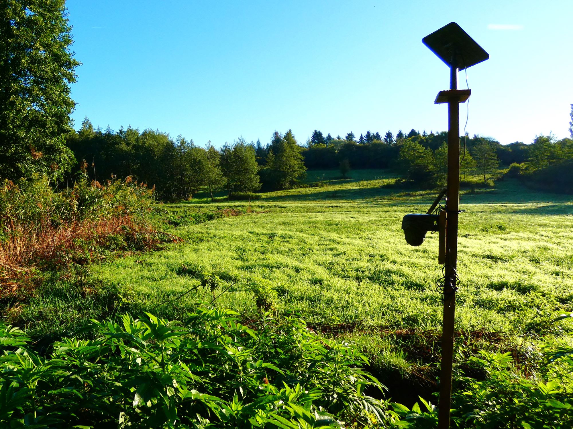 2000 vadkamera Fantombika Újvadrét 2025.09.21.