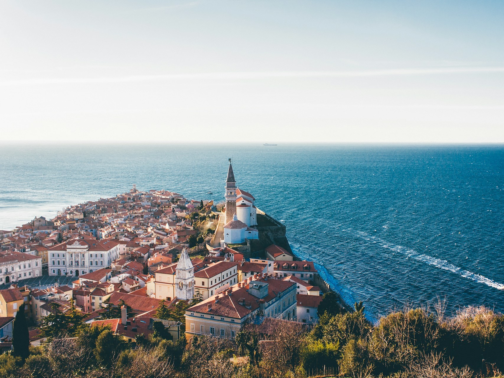 Piran Szlovénia tenger élőhely