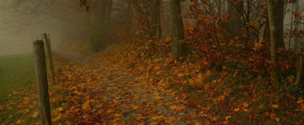 ősz őszi köd hideg heti időjárás szeptember 29