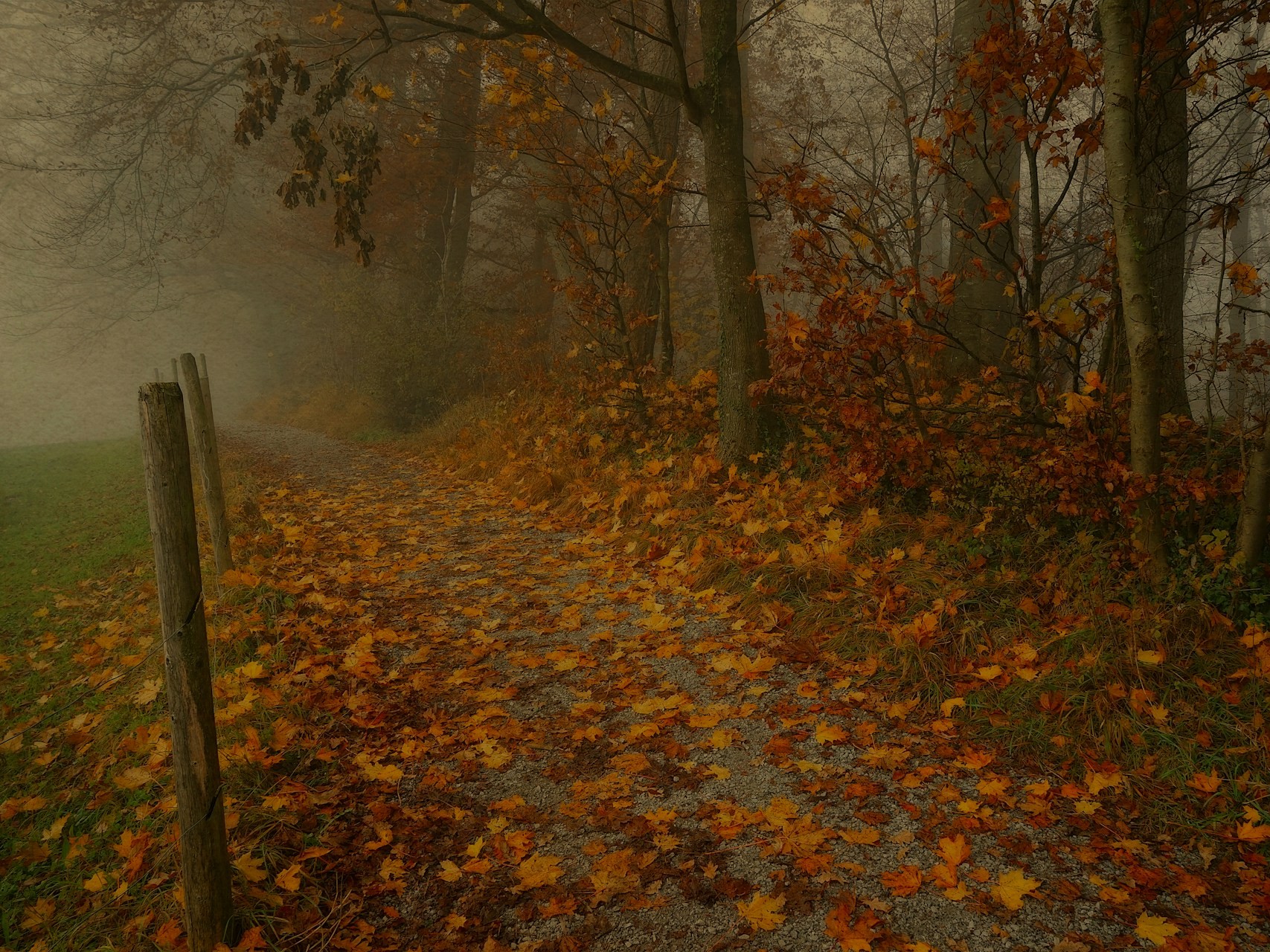 ősz őszi köd hideg heti időjárás szeptember 29