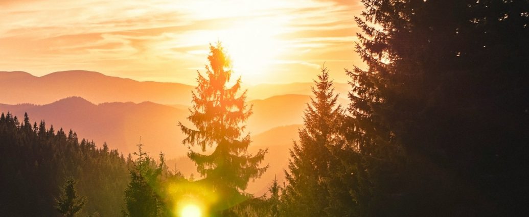 lehidegebb őszi éjszaka szeptember ősz hideg időjárás fenyő hajnal