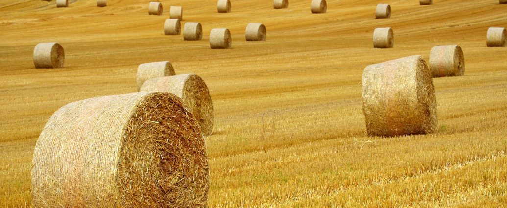 mezőgazdaság agrár gazda gazdálkodás növényteremsztés állattenyésztés agrárium pixa bálák szalma táj