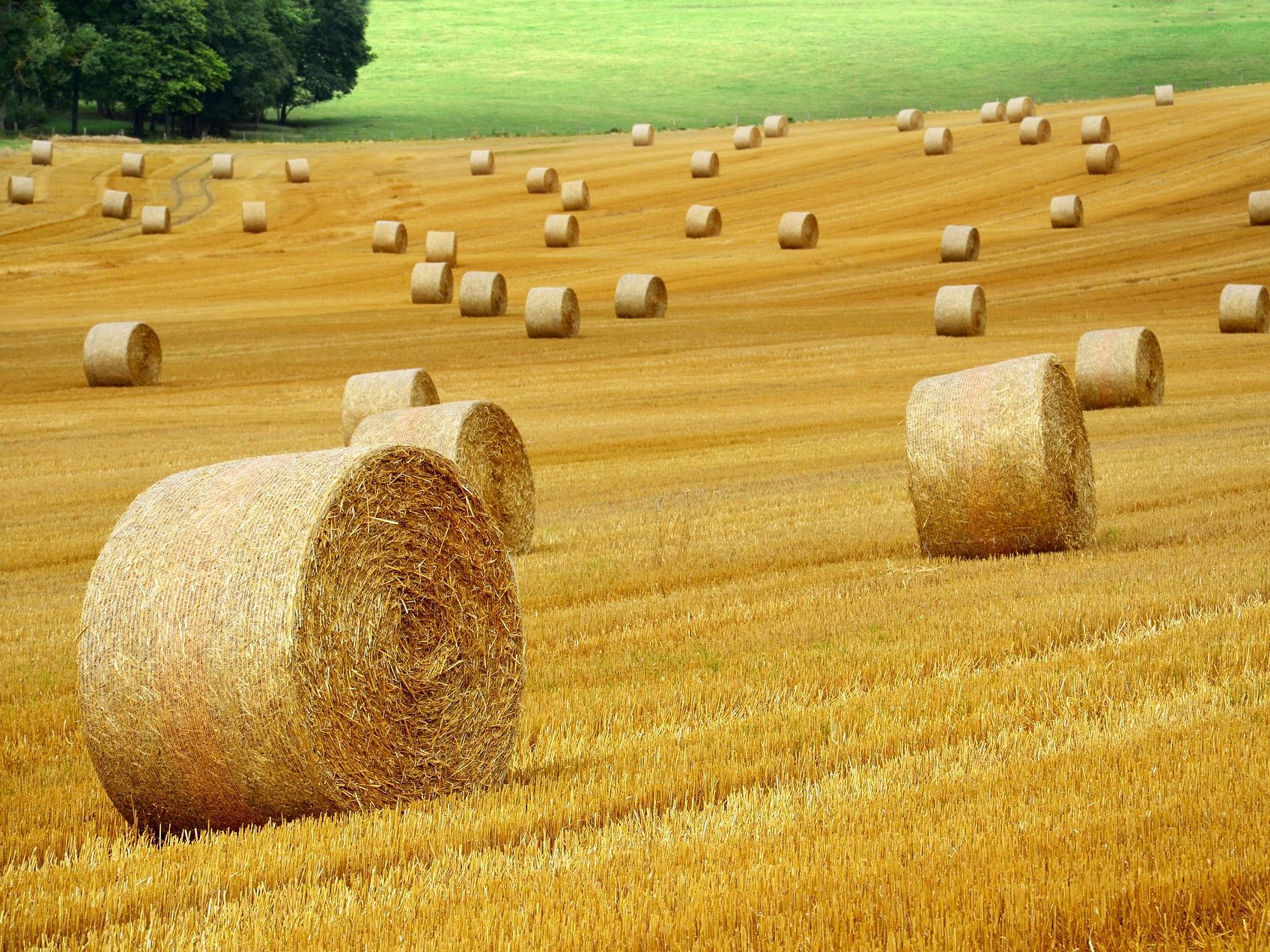 mezőgazdaság agrár gazda gazdálkodás növényteremsztés állattenyésztés agrárium pixa bálák szalma táj