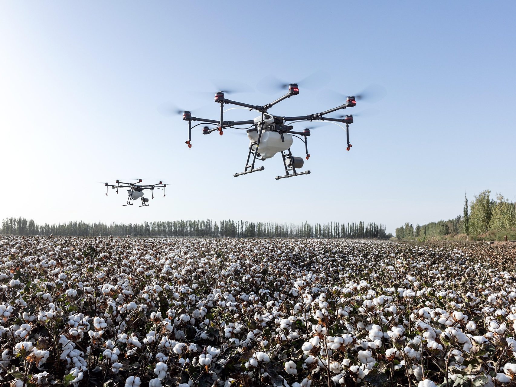 mezőgazdaság agrár gazda gazdálkodás növényteremsztés állattenyésztés agrárium pixa drón