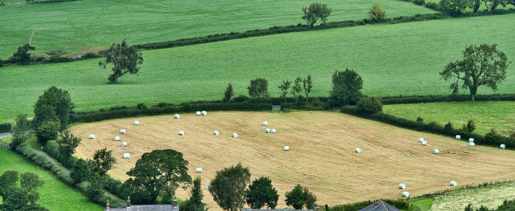 mezőgazdaság agrár gazda gazdálkodás növényteremsztés állattenyésztés agrárium pixa farmok parcellák