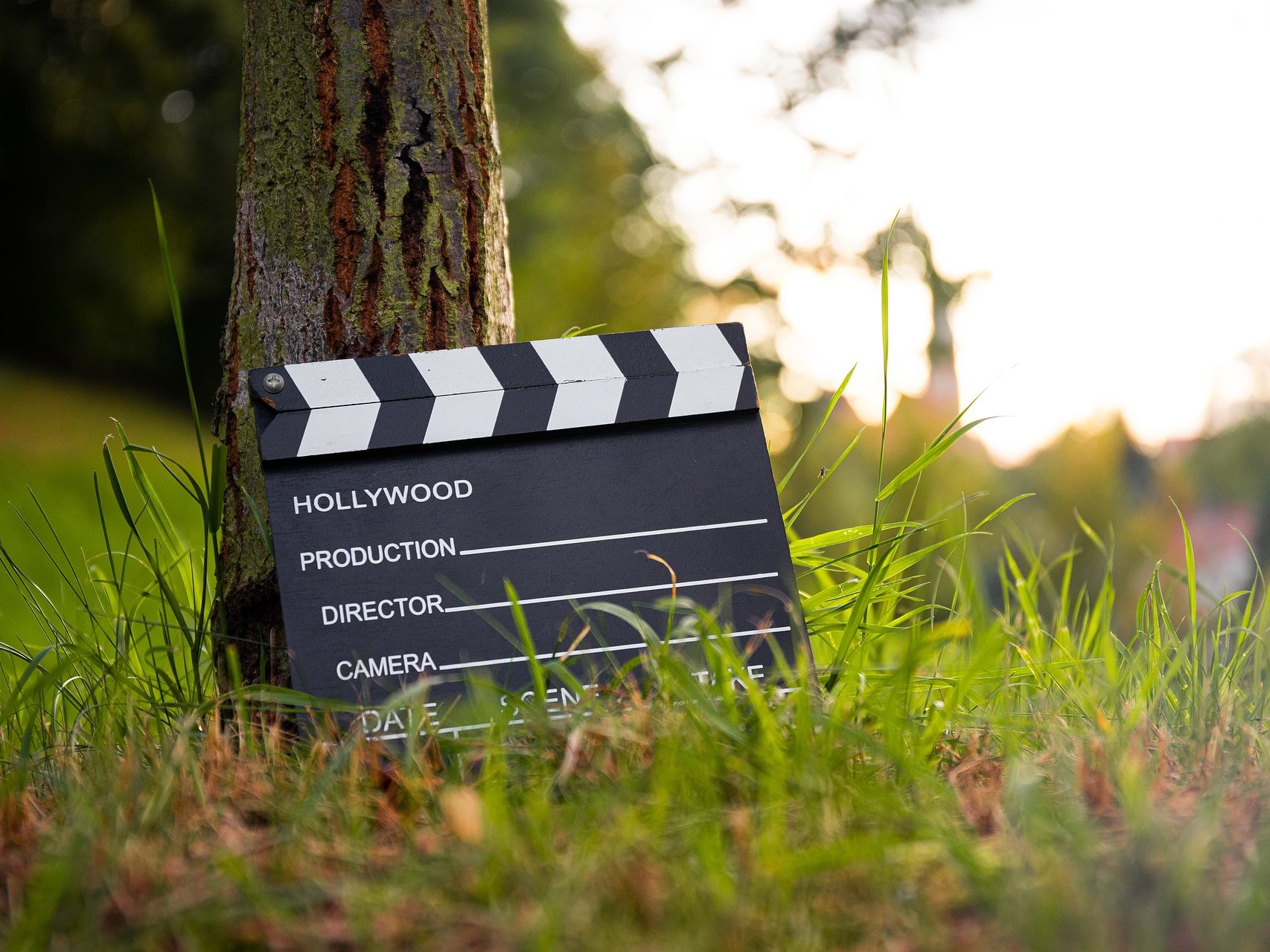 video vlog blog film Youtube pixa 3