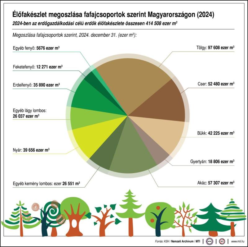 erdők hete erdő magyarország erdőterület erdőgazdálkodás mti 2
