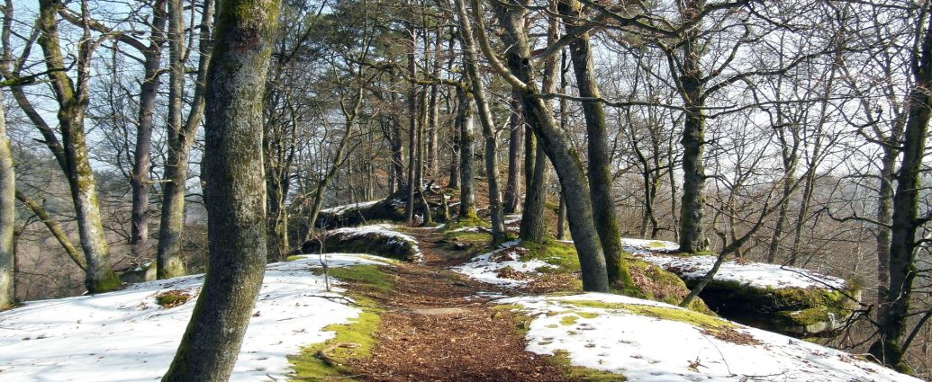 téli túra táj élet életmód hangulat pixa sétány park erdő