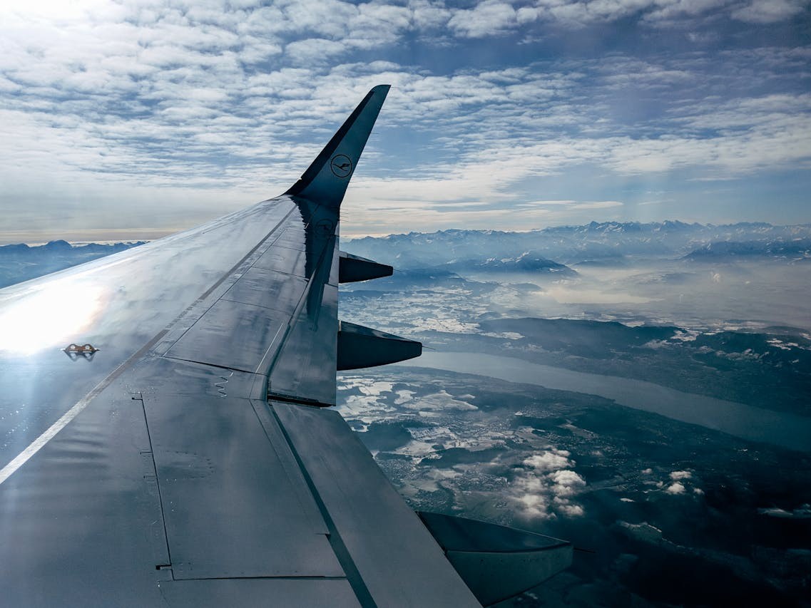 repülő lufthansa madár ütközés