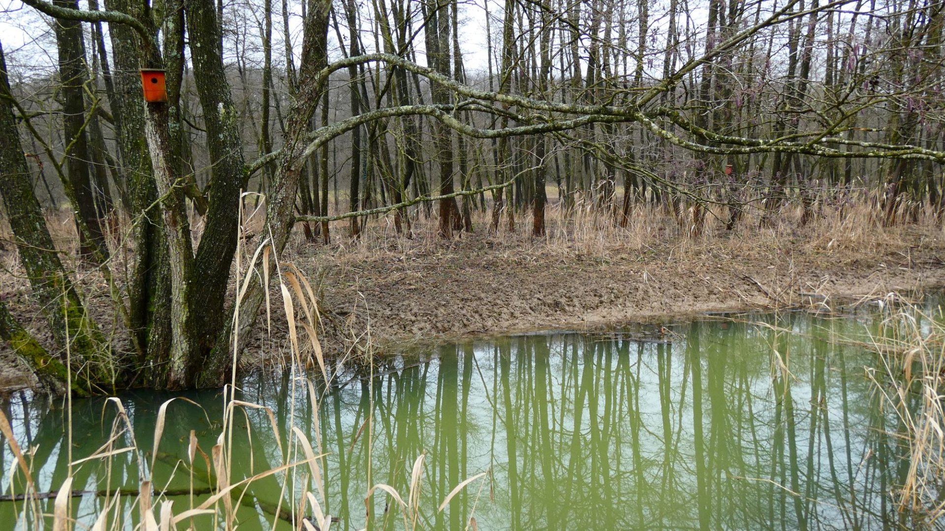 2000 A Balaton színei a jégolvadás után 1.JPG piros odú