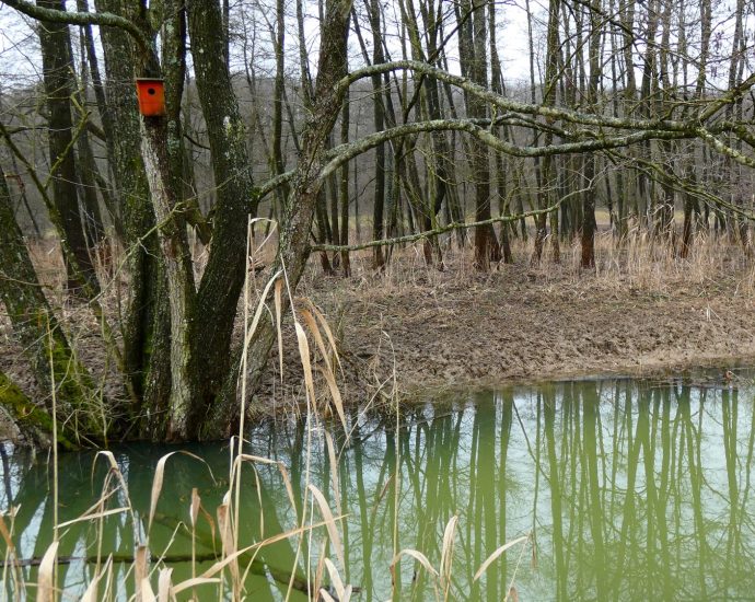 2000 A Balaton színei a jégolvadás után 1.JPG piros odú