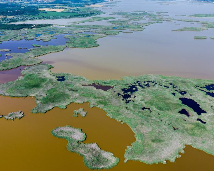Molnár Ábel Péter ökológus ökológia vizes élőhelyek fotók galéria 3 Velencei-tó