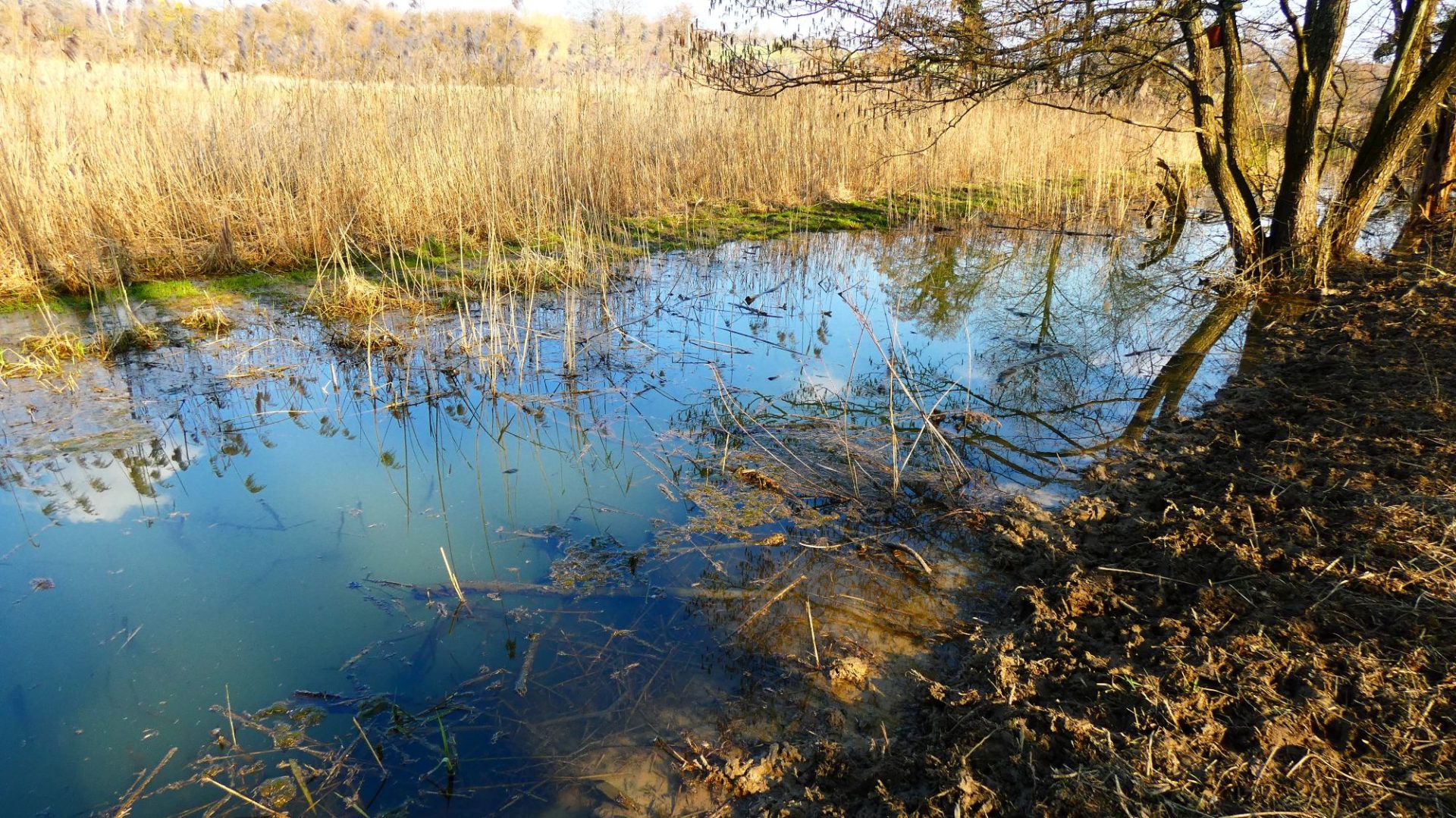 Felső-víz 2026.03.05. 2000