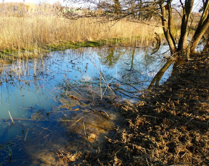Felső-víz 2026.03.05. 2000