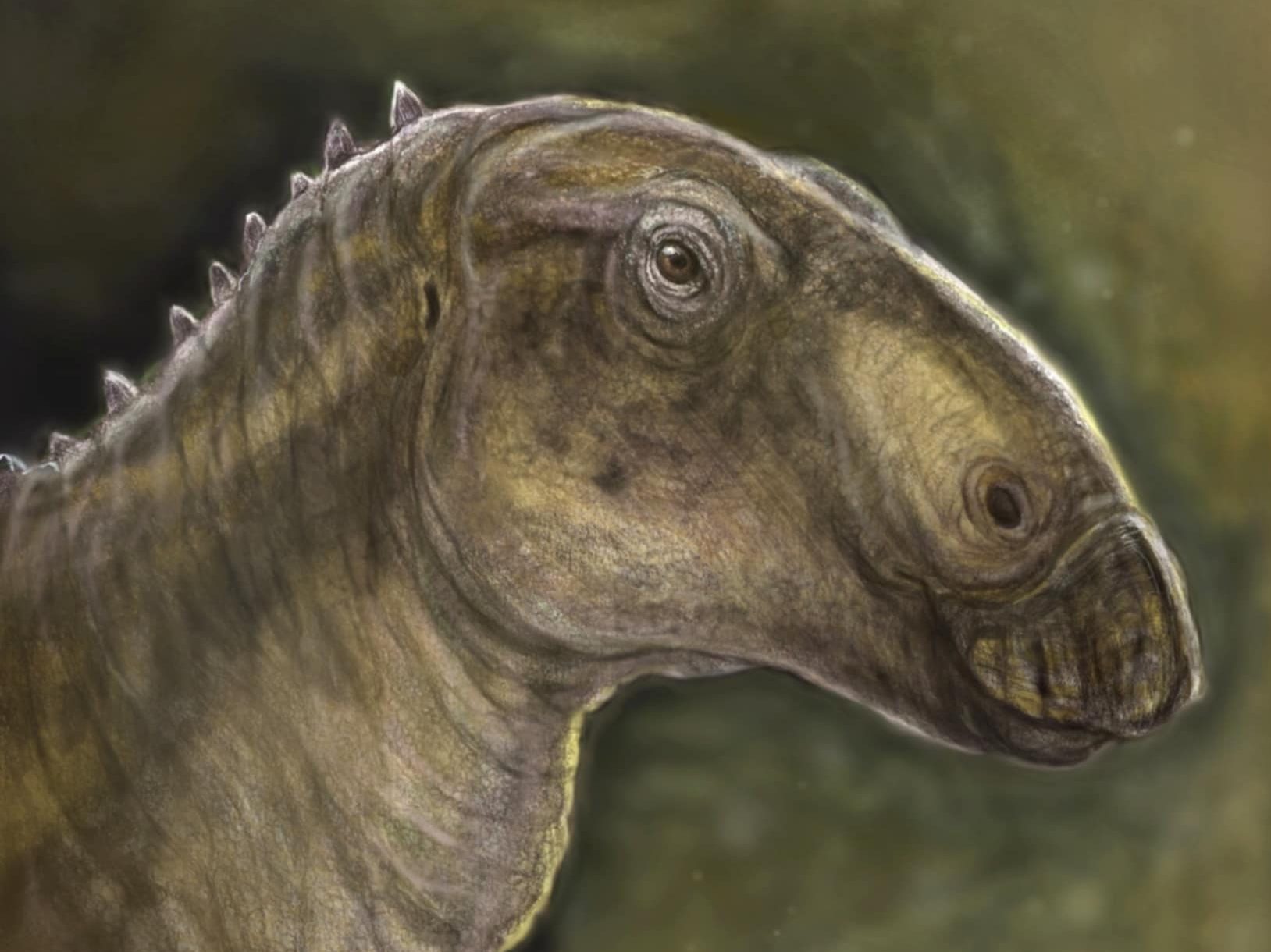 uj-dinoszaurusz-fajt-fedeztek-fel-magyar-kutatok-erdelyben-10421