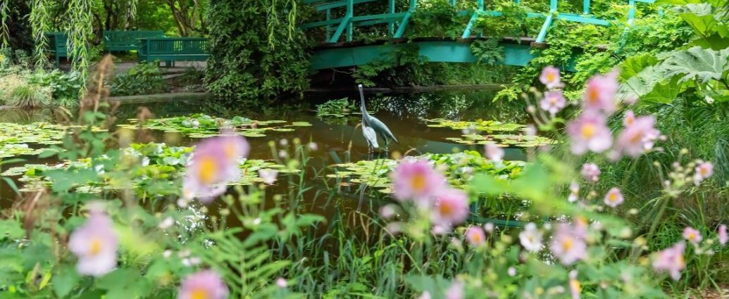 bécs kert iskolakert kagran Wiener-Stadtgaerten
