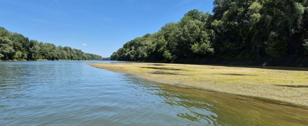 Tisza vízállás