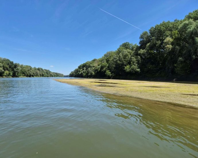 Tisza vízállás