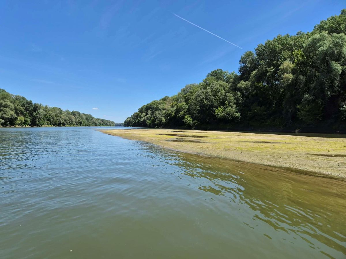 Tisza vízállás