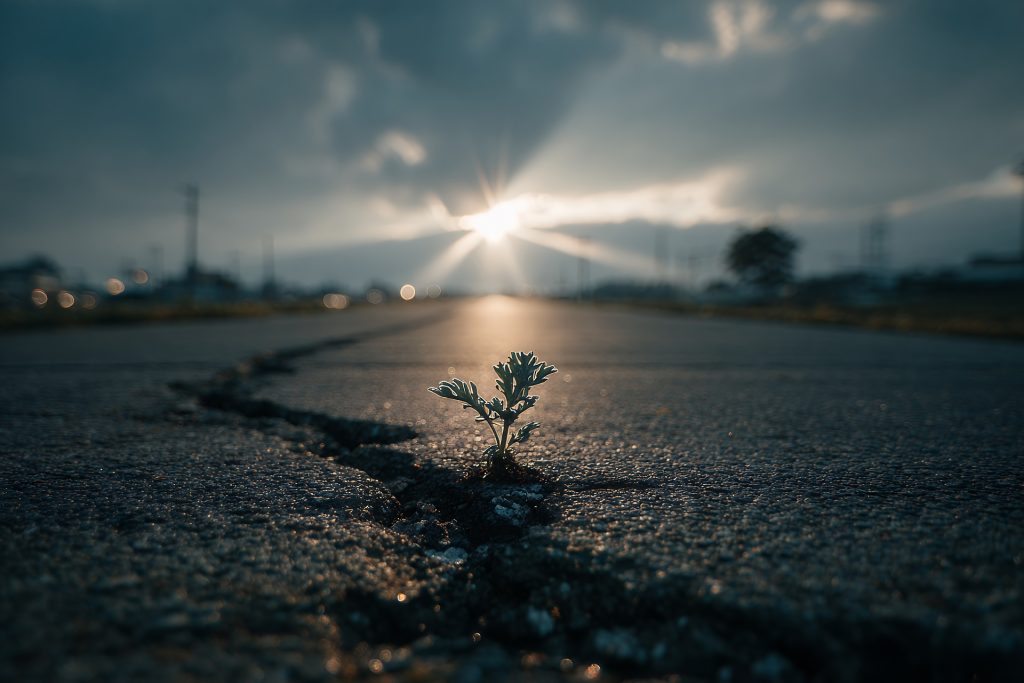 beton betonozás térkövezés betondzsungel város felmelegedés pixa aszfalt