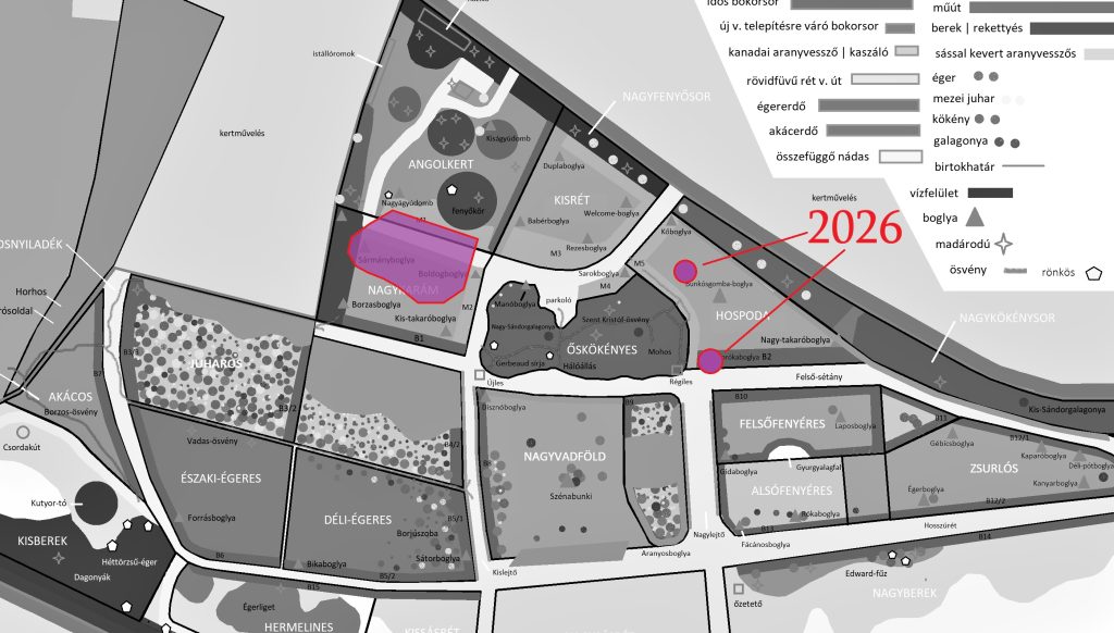 mezei aszat 2026