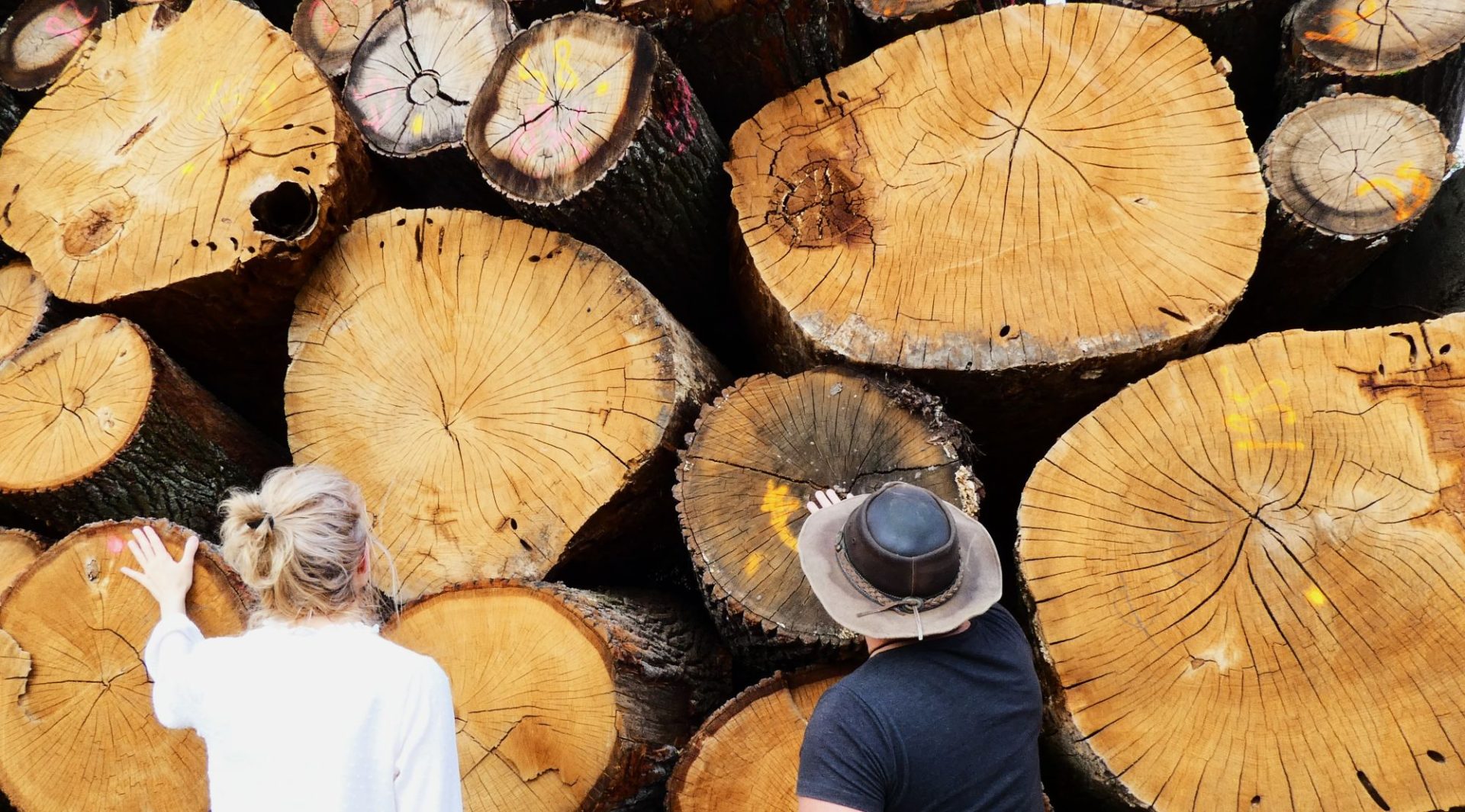 2000 biomassza fa tüzifa ajka cw-fotó