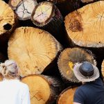 2000 biomassza fa tüzifa ajka cw-fotó