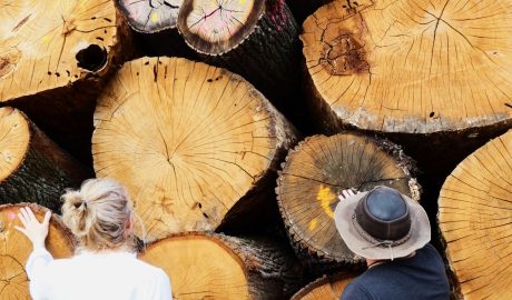 2000 biomassza fa tüzifa ajka cw-fotó