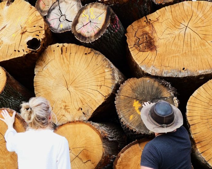 2000 biomassza fa tüzifa ajka cw-fotó