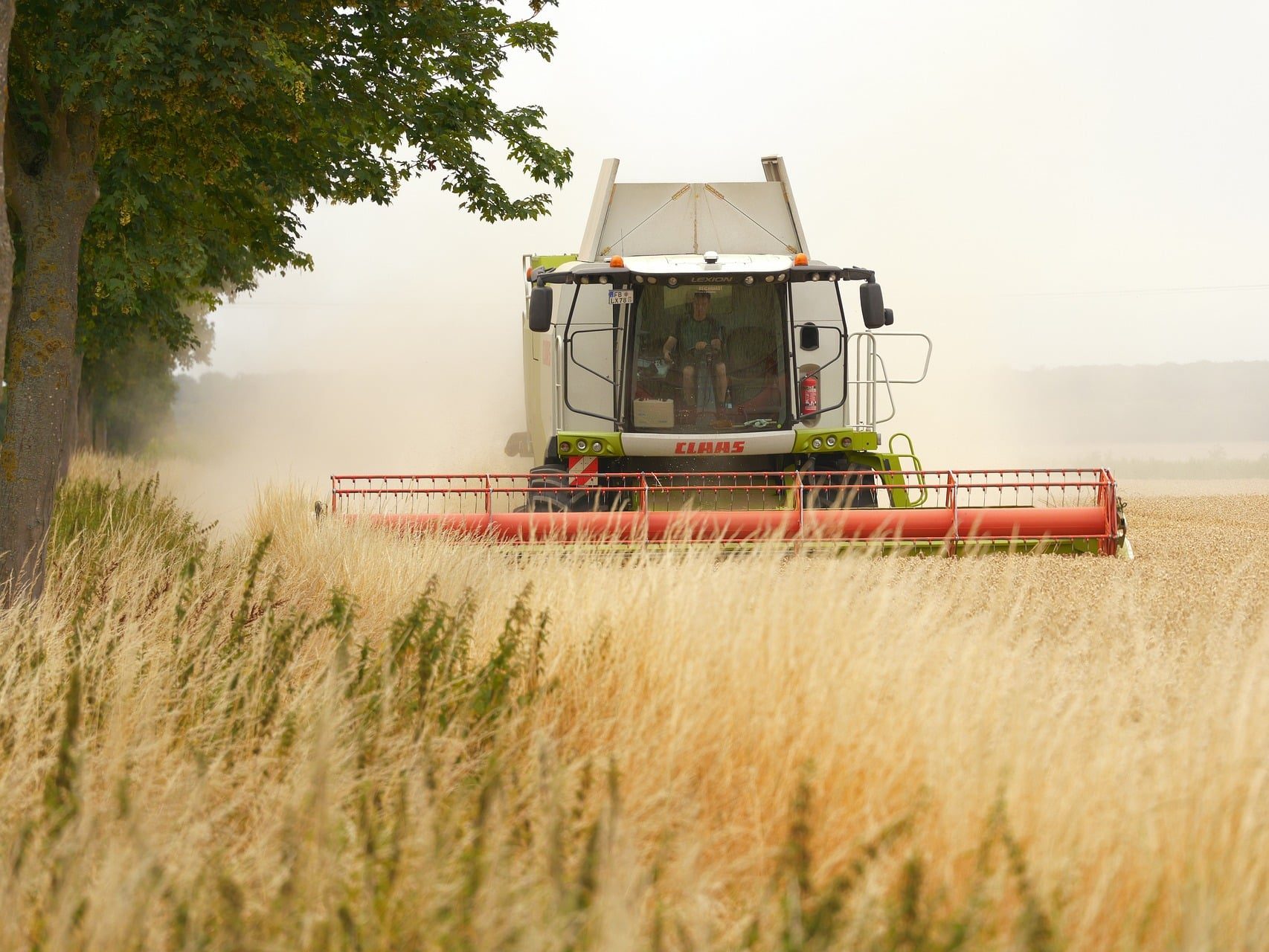 mezőgazdaság agrár pixa kombájn aratás gabona