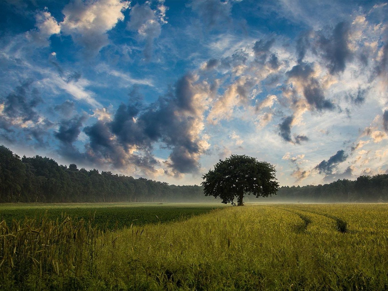 mezőgazdaság agrár pixa táj felhők fák