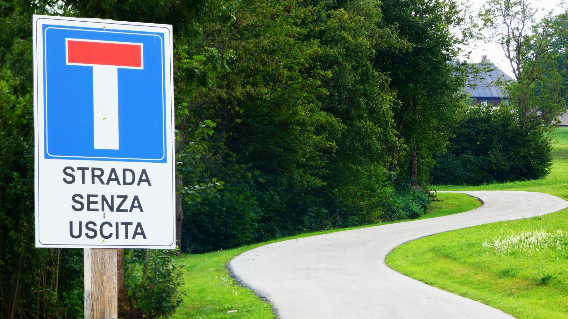 2000 zsákutca erdő Szlovénia út cwe-fotó