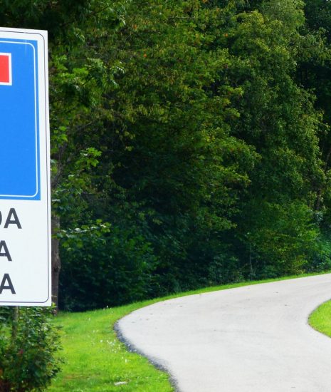 2000 zsákutca erdő Szlovénia út cwe-fotó