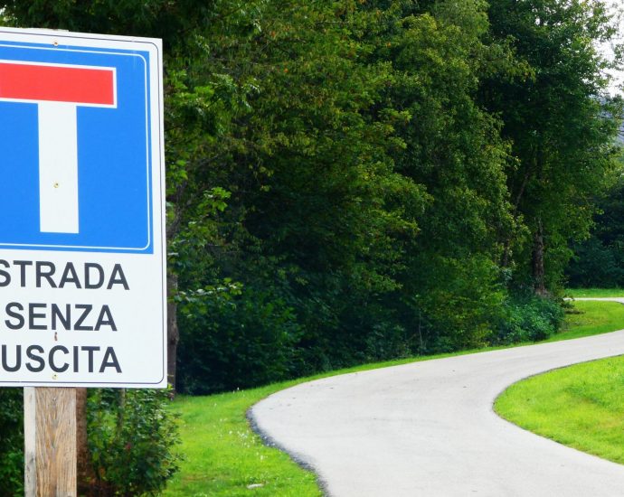 2000 zsákutca erdő Szlovénia út cwe-fotó