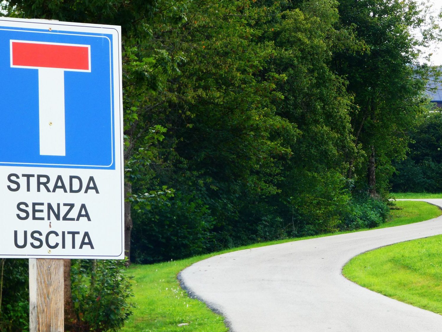 2000 zsákutca erdő Szlovénia út cwe-fotó