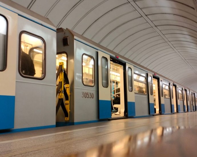 metró vaddisznó illusztráció