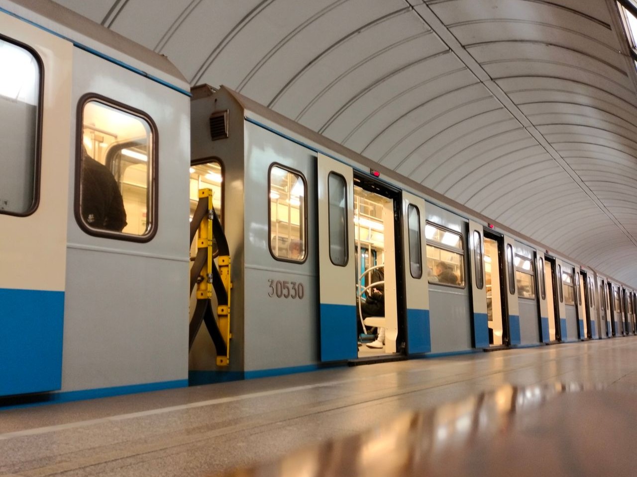 metró vaddisznó illusztráció