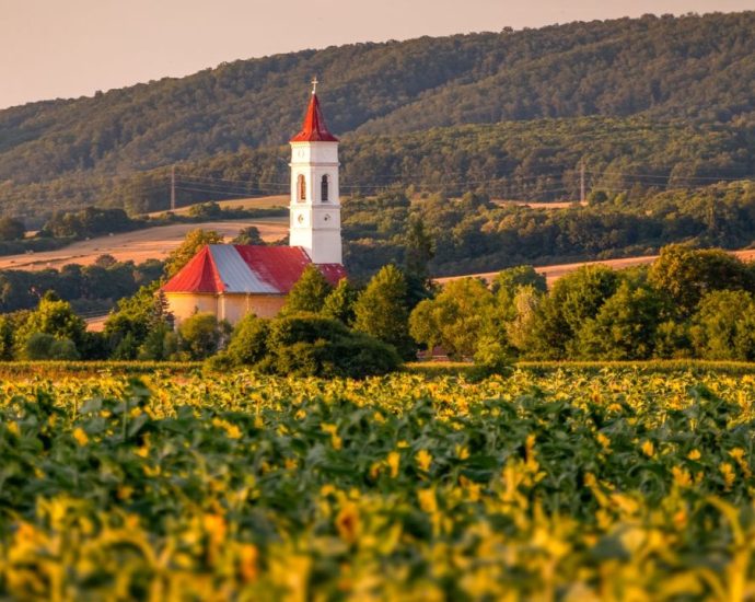 Szlovákia gmo génmódosított növények