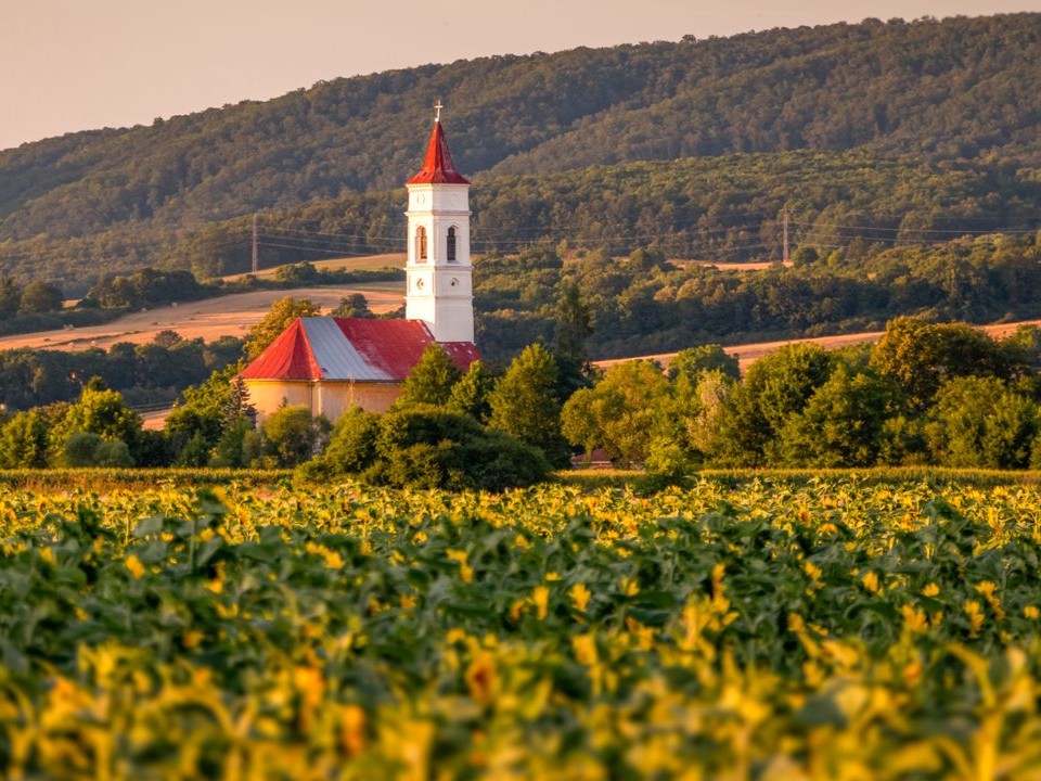 Szlovákia gmo génmódosított növények