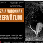 169 élő szarvasbőgés borító