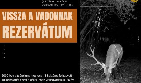 169 élő szarvasbőgés borító